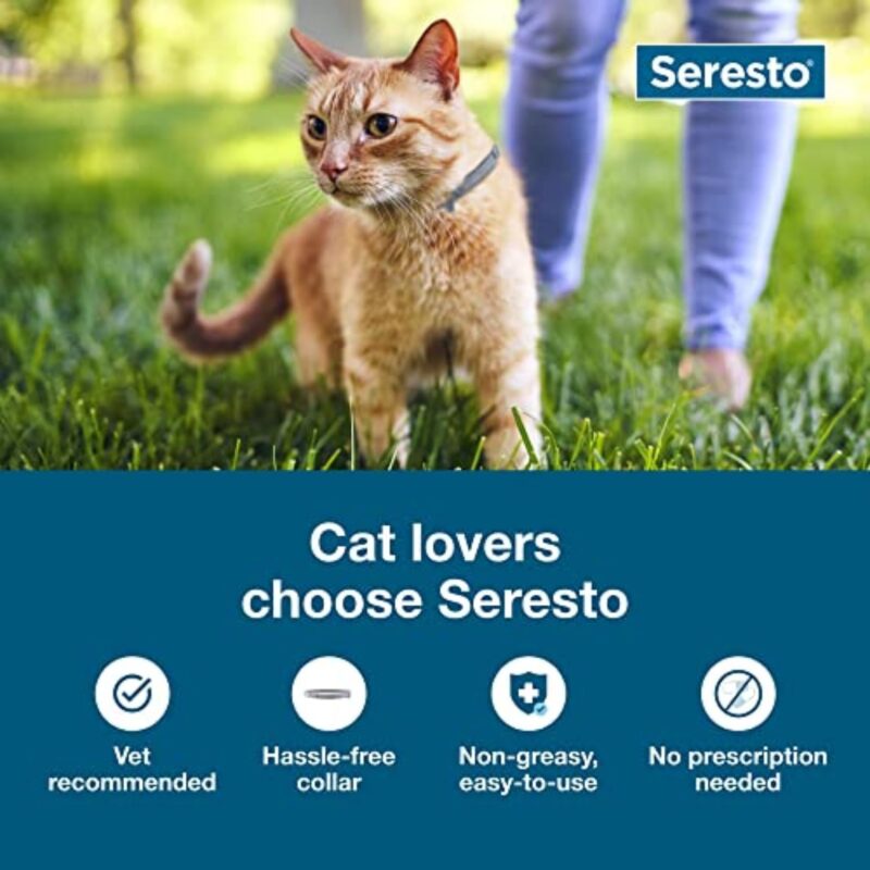 Seresto Cat Collar: Expert Review on Flea & Tick Prevention