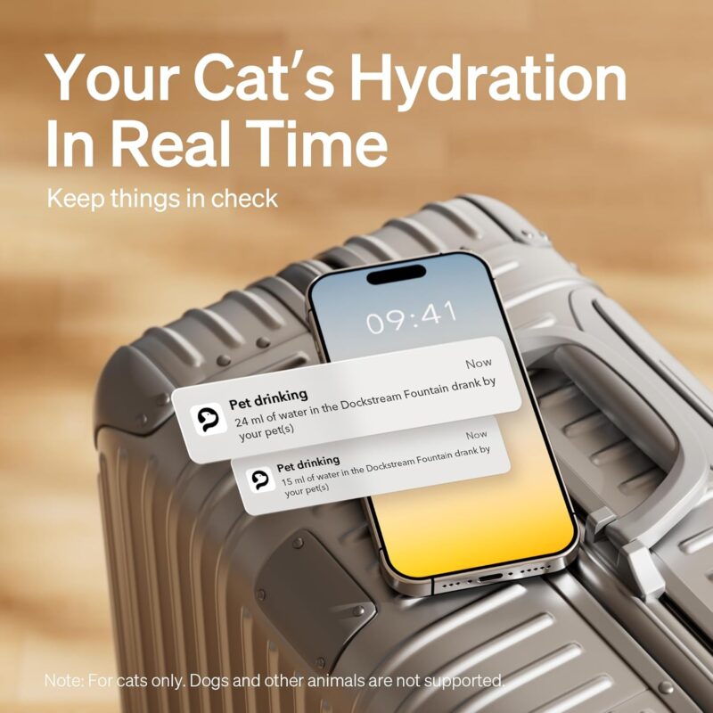 Smart Hydration: A Review of the PETLIBRO Cat Water Fountain App