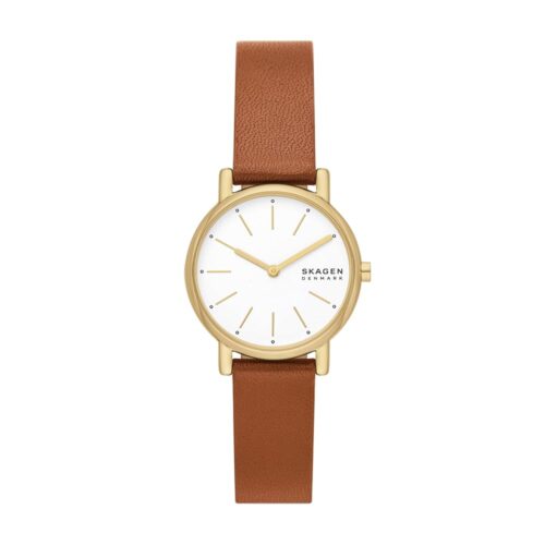 Timeless Elegance: A Review of Skagen Women's Watches