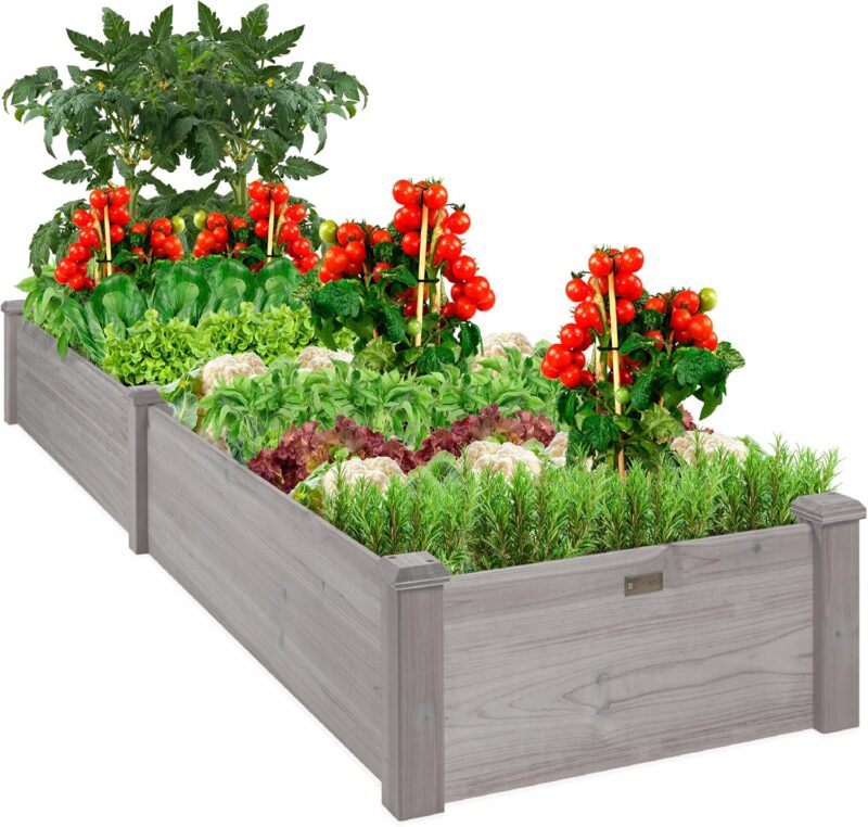 Transform Your Garden: A Review of Best Choice Products 8x2ft Planter