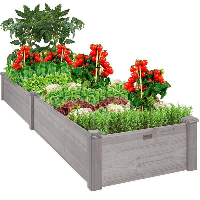 Transform Your Garden: A Review of Best Choice Products 8x2ft Planter