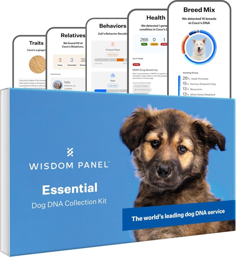 Unlocking Canine Heritage: A Review of Wisdom Panel Essential DNA Kit