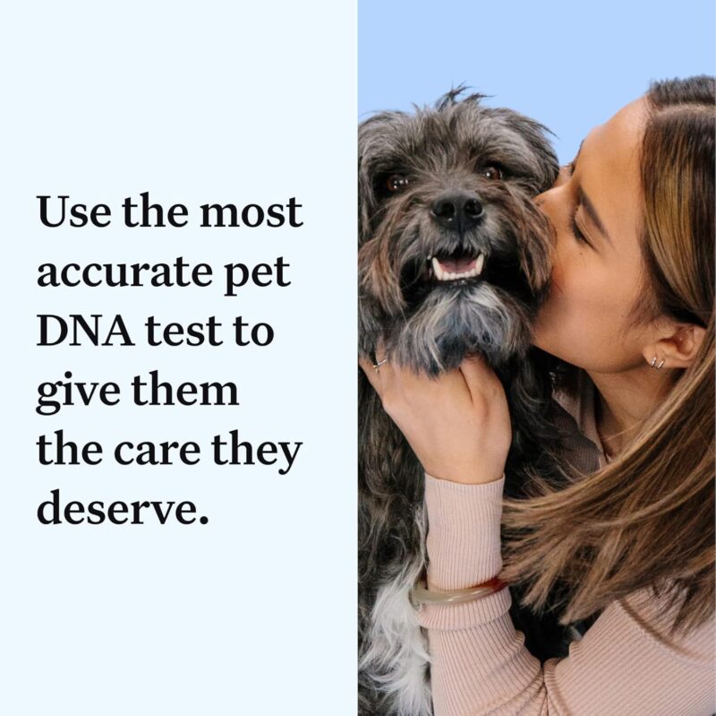 Unlocking Canine Heritage: A Review of Wisdom Panel Essential DNA Kit