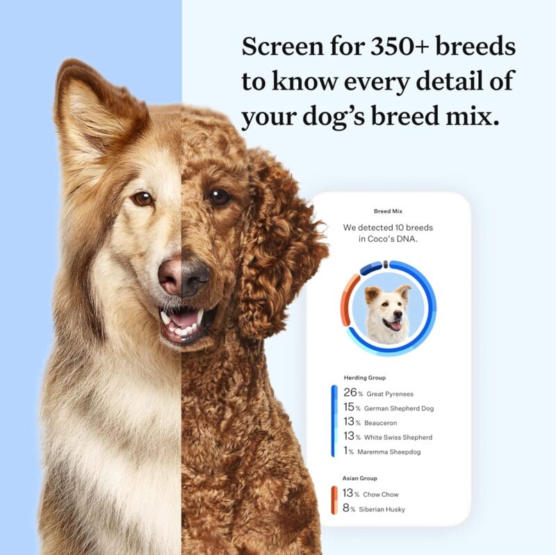 Unlocking Canine Heritage: A Review of Wisdom Panel Essential DNA Kit