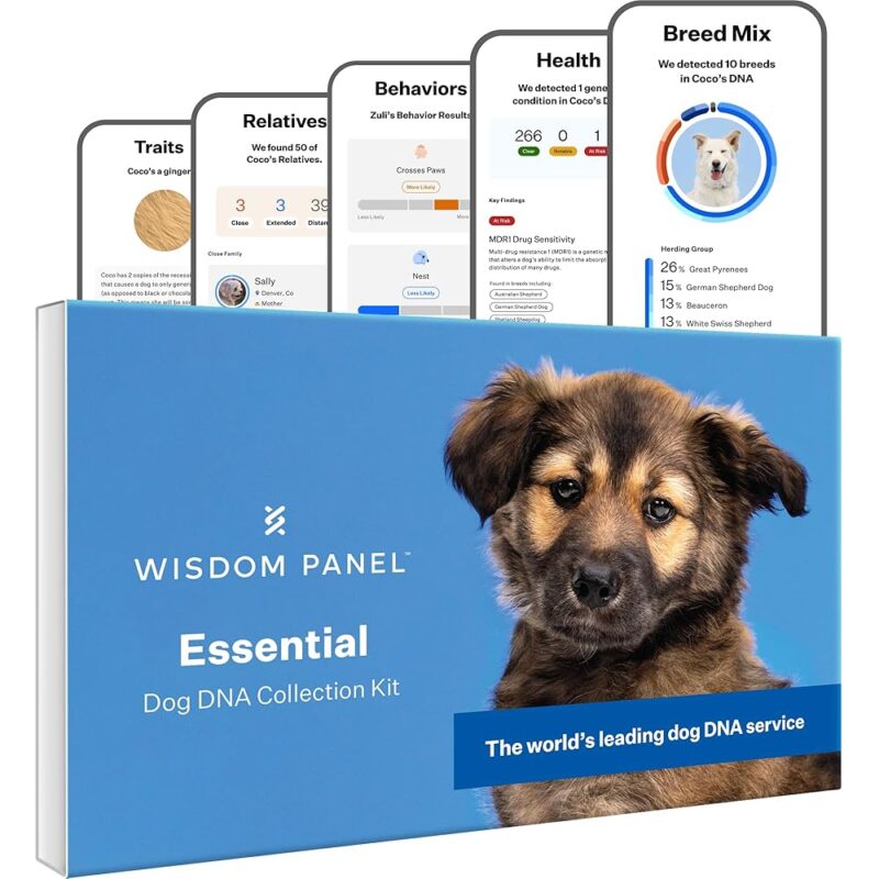 Unlocking Canine Heritage: A Review of Wisdom Panel Essential DNA Kit